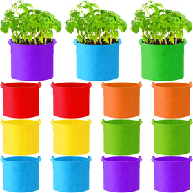 Ziliny multicolor 5 gal blue grow bag with handles for portable indoor gardening.