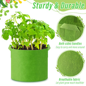Ziliny orange 5 gal grow bag ideal for balcony gardens and seedling starts.