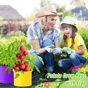 Ziliny purple 5 gal grow bag for versatile outdoor planting in any season.