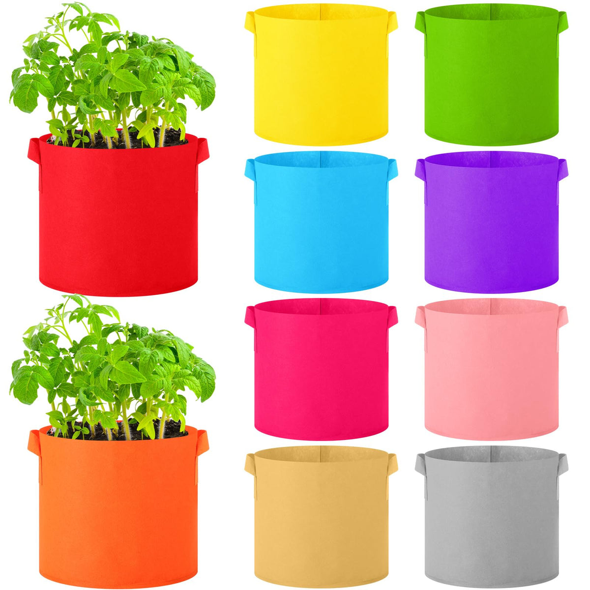 Ziliny 3-gallon grow bags in colorful color pack for versatile planting and display.