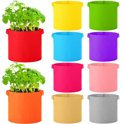 Ziliny 3-gallon grow bags in colorful color pack for versatile planting and display.