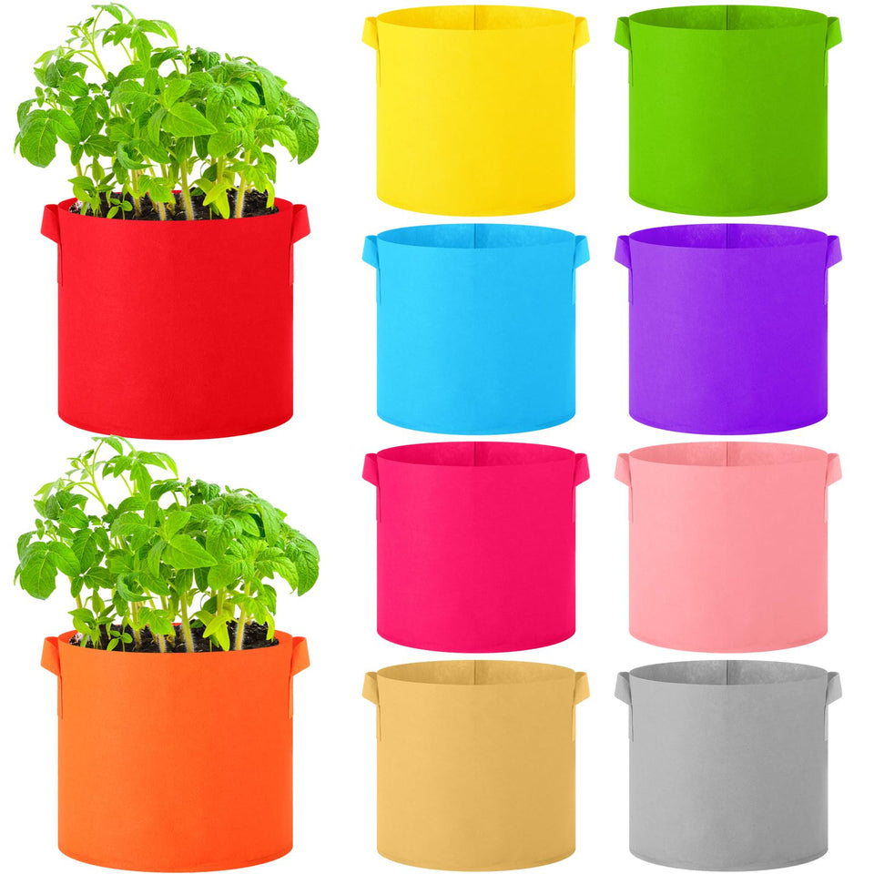 Ziliny 3-gallon grow bags in colorful color pack for versatile planting and display.