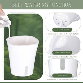Ziliny pot with air circulation holes promotes root health.