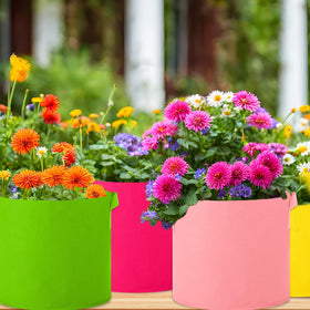 Ziliny colorful garden bags add visual appeal while supporting healthy yields.