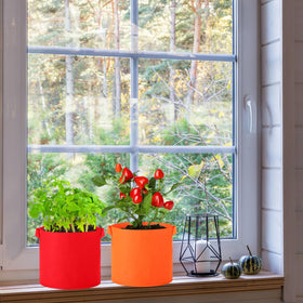 Ziliny colorful garden grow bags brighten spaces while growing produce.