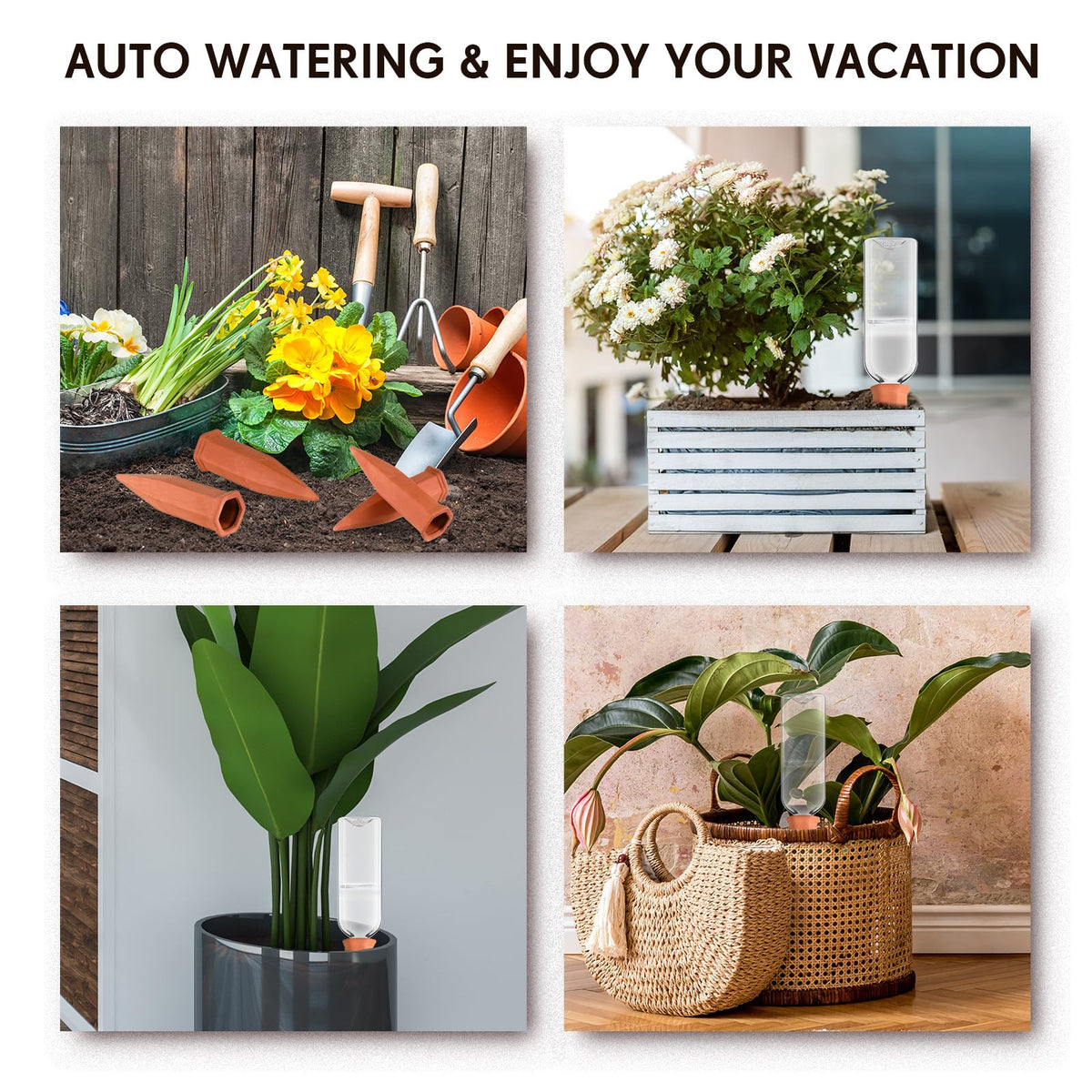 Ziliny compact-dimensions allow discreet placement for small pots.