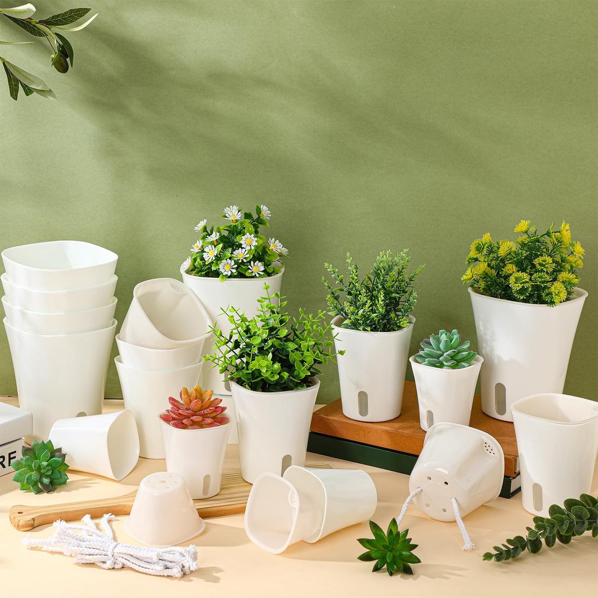 Ziliny desk-friendly planters keep workspaces green and organized.
