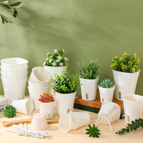 Ziliny desk-friendly planters keep workspaces green and organized.