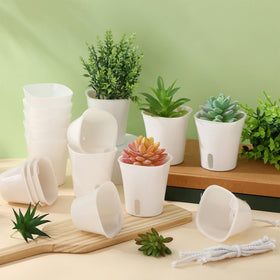 Ziliny indoor garden compact planter for balcony, sill, or shelf.