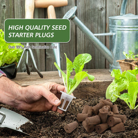 Ziliny indoor herb system setup supports quick, tidy gardening at home.