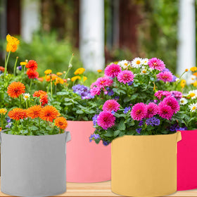 Ziliny multipurpose planters suitable for indoor and outdoor gardening.