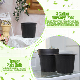 Ziliny indoor-outdoor plant pot ideal for seedlings and cuttings