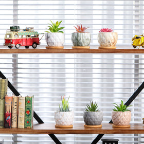 Ziliny durable ceramic pot resists cracking for long-term use.