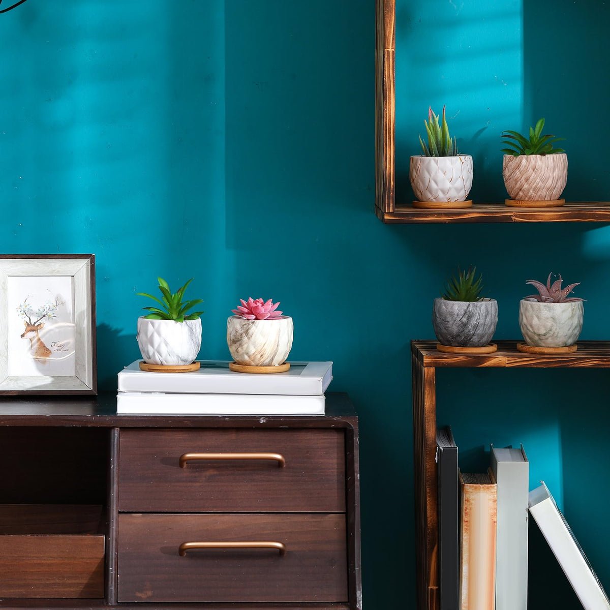 Ziliny compact indoor planter perfect for desks and shelves.