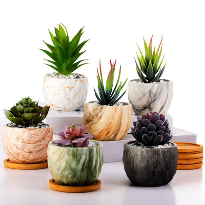 Ziliny marbling ceramic flower pot with succulent for stylish indoor display.