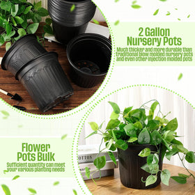 Ziliny seedling-transplanting pot; versatile indoors or outdoors for propagation