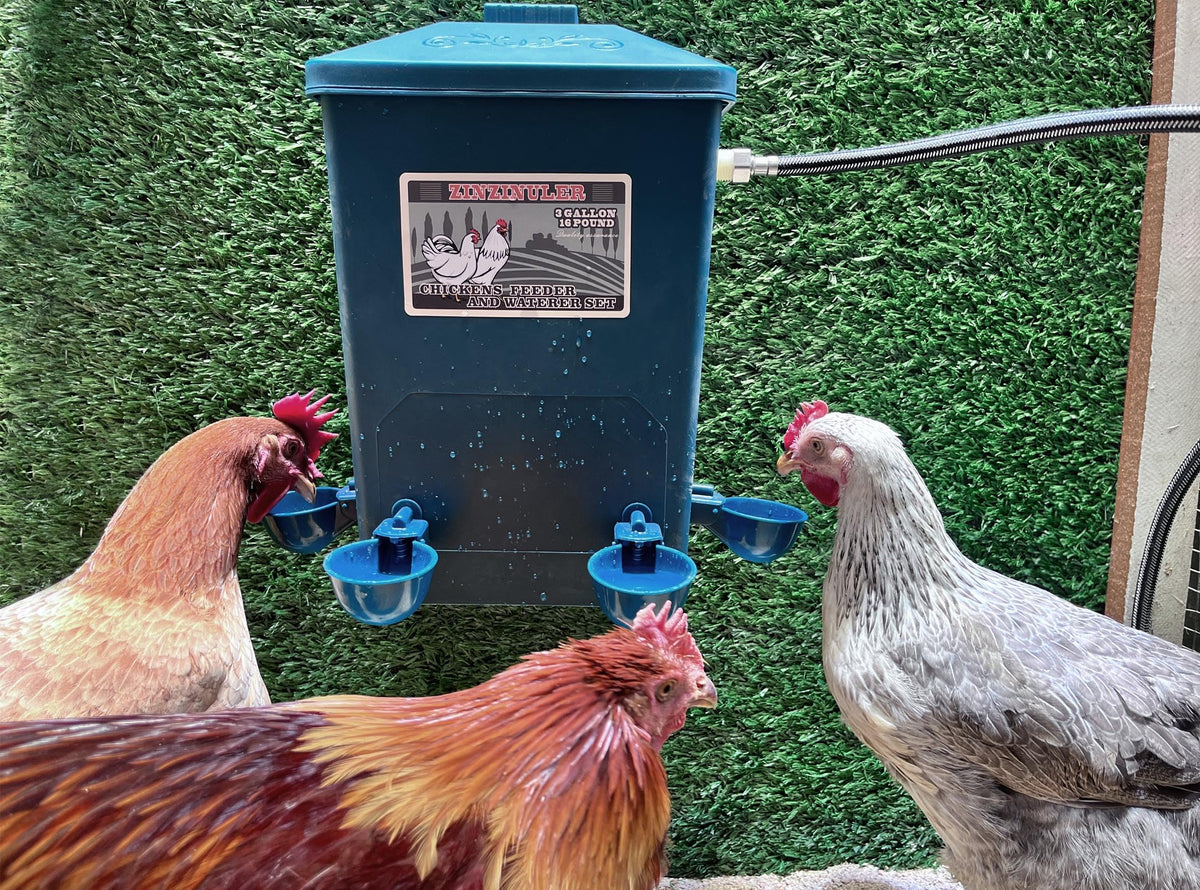 ZINZINULER waterer hanging mount keeps water elevated away from dust in the coop