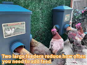 ZINZINULER quick-install feeder simplifies coop setup for any poultry keeper.
