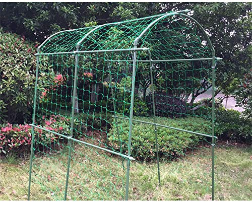 Zivisk cucumber-tomato trellis in use to train vines neatly.
