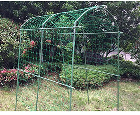 Zivisk cucumber-tomato trellis in use to train vines neatly.