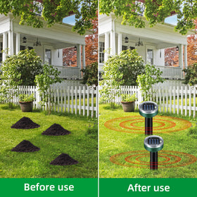 ZLieatmp 8-pack set provides broad coverage for larger yards and multiple beds.