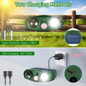 ZLieatmp flashing-lights-mode adds visual deterrence while protecting the yard.