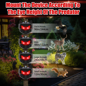 Four-unit perimeter setup for comprehensive yard protection