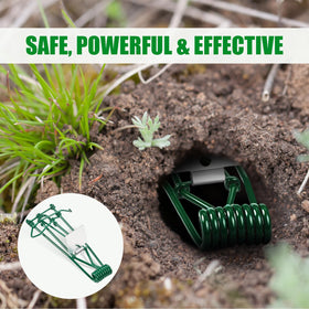 ZLieatmp low-profile safety design protects pets and kids
