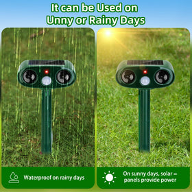 ZLieatmp red LED indicator confirms active monitoring and deterrence in low light