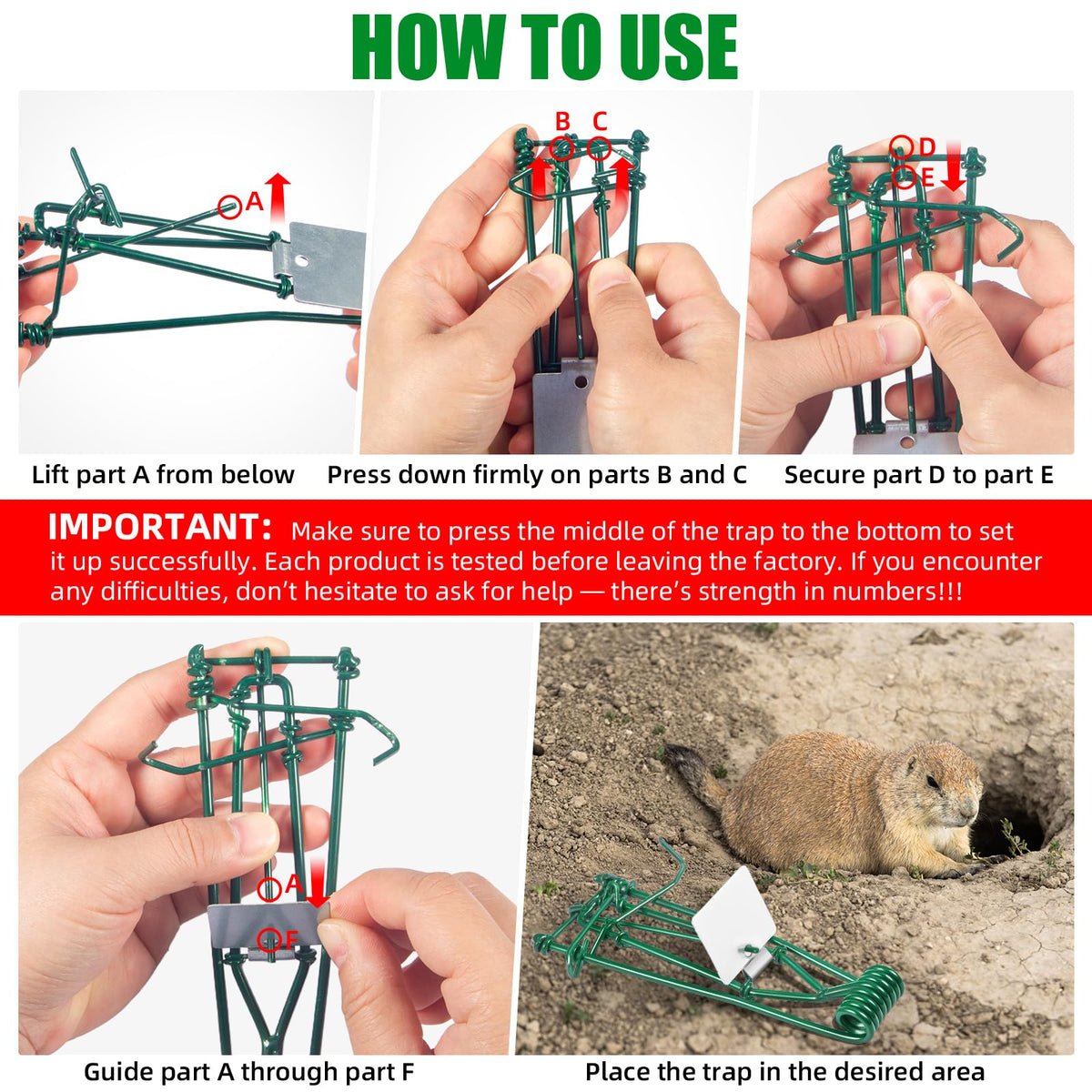 ZLieatmp six-pack traps ready for yard, garden, and farm