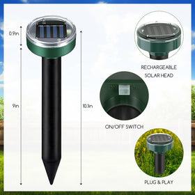 ZLieatmp solar panel stake under sunlight keeps itself charged for continuous yard protection.