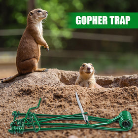 ZLieatmp vole trap in galvanized metal for multi-season durability