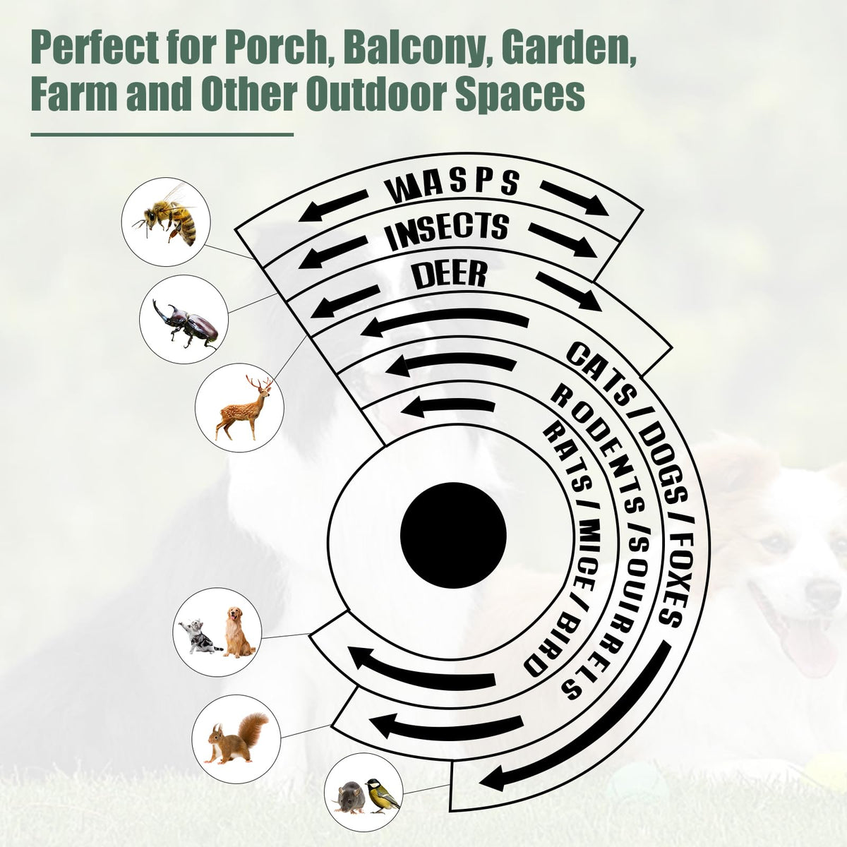 ZLieatmp woodpecker deterrent mounted on wall for exterior protection