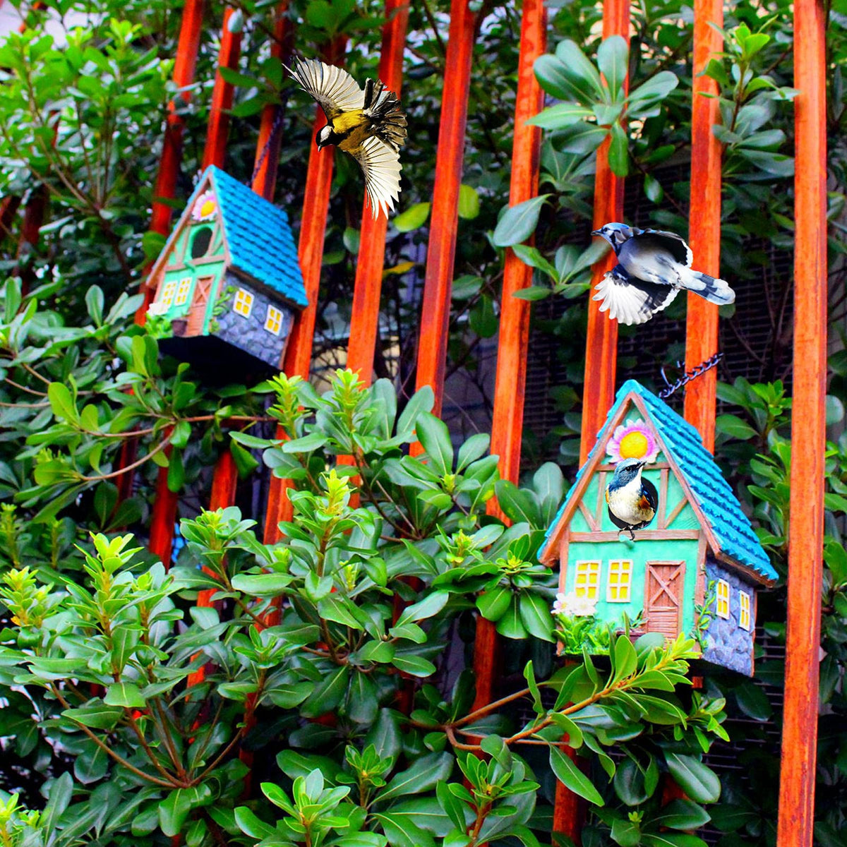 ZLSZTMI bluebird house outdoors on a sturdy black chain
