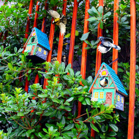 ZLSZTMI bluebird house outdoors on a sturdy black chain