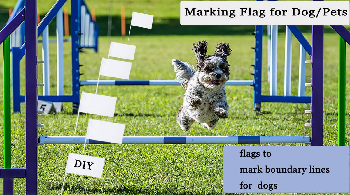 ZLY flags ideal for sports events and parades.