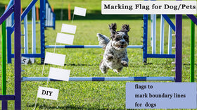 ZLY flags ideal for sports events and parades.