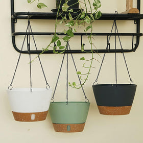 ZMTECH space saving 8 inch hanging planter mounted near a window