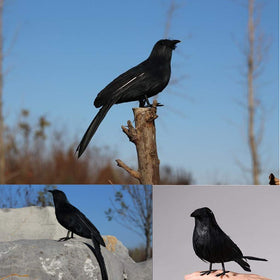ZODIFEVI Bonarty foam-bodied crows offering durable decorative realism.