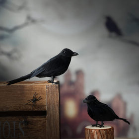 ZODIFEVI Bonarty six-crow display ready for decorative arrangements.