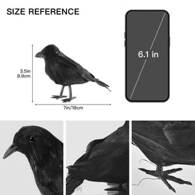 ZODIFEVI Bonarty crows with twisted heads for a foraging pose.