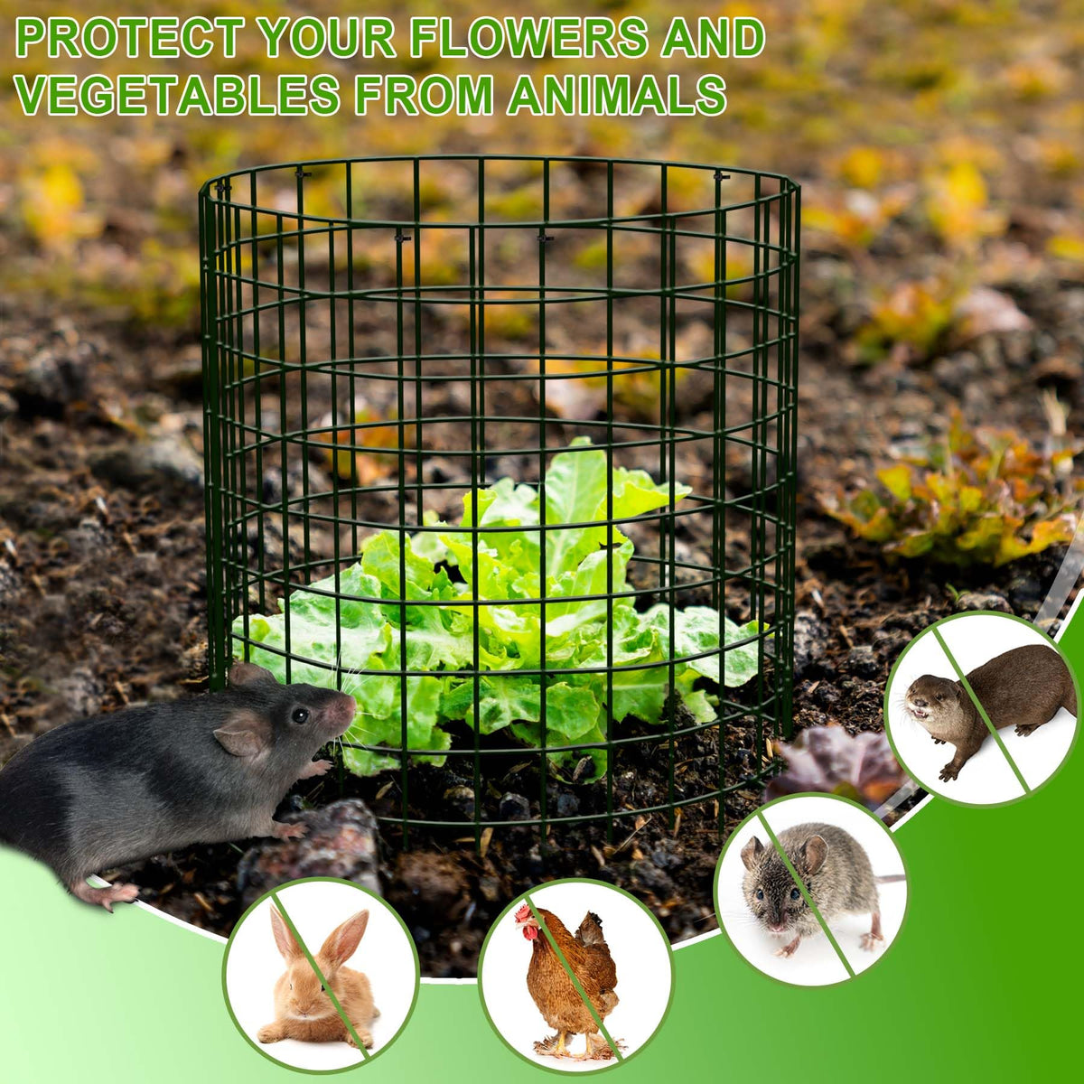 ZOKCC cages stand 13.7 inches tall for low-to-mid height plants.