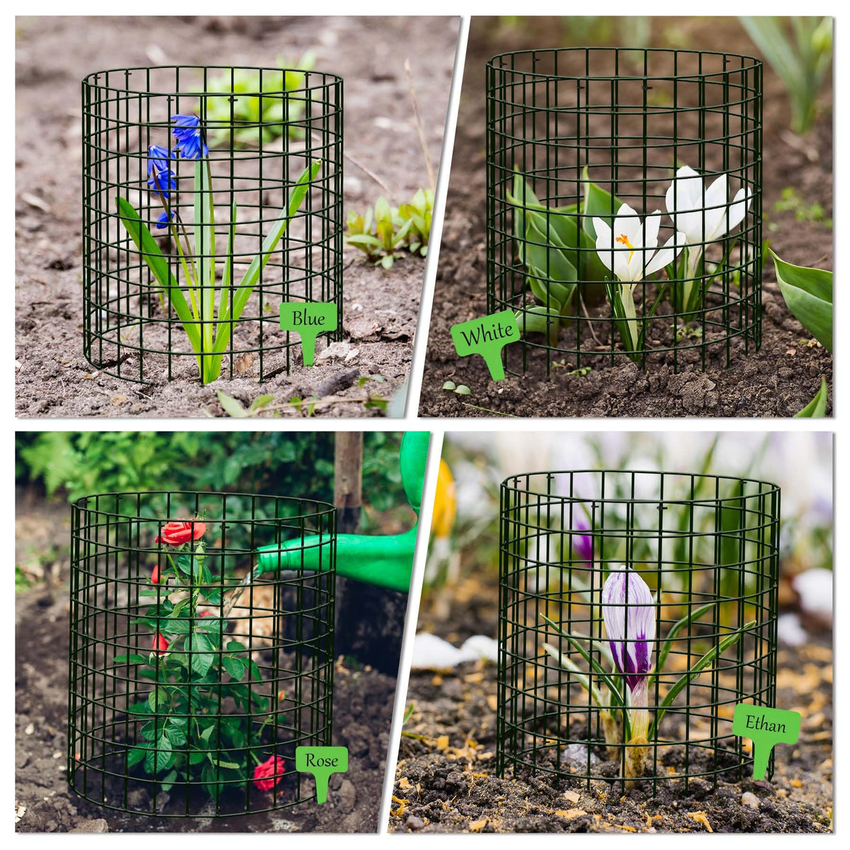 ZOKCC dark green cages blending with garden scenery while shielding blooms.