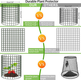 ZOKCC plant labels helping identify protected varieties at a glance.