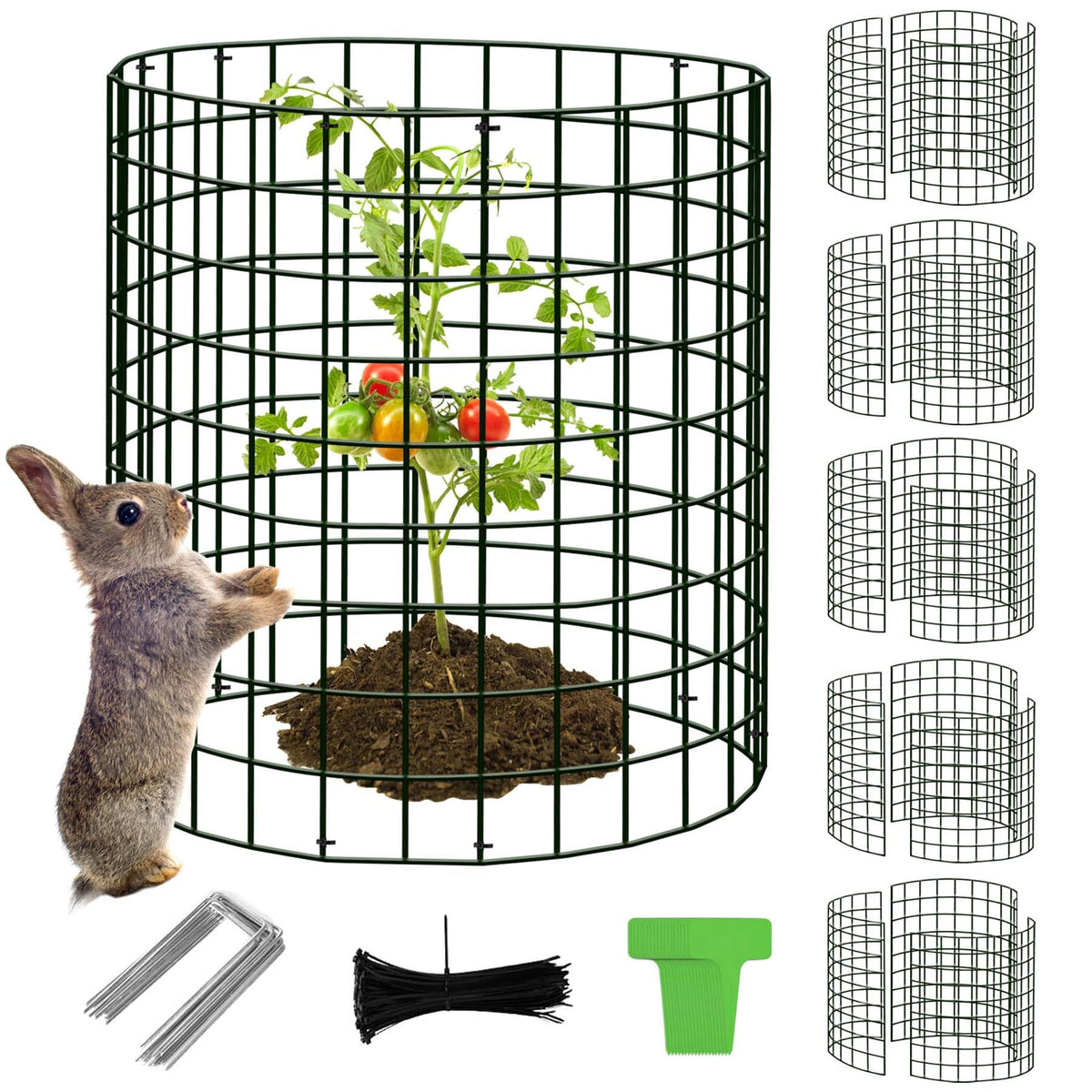 ZOKCC plant protector cages assembled around a young plant to deter animals.