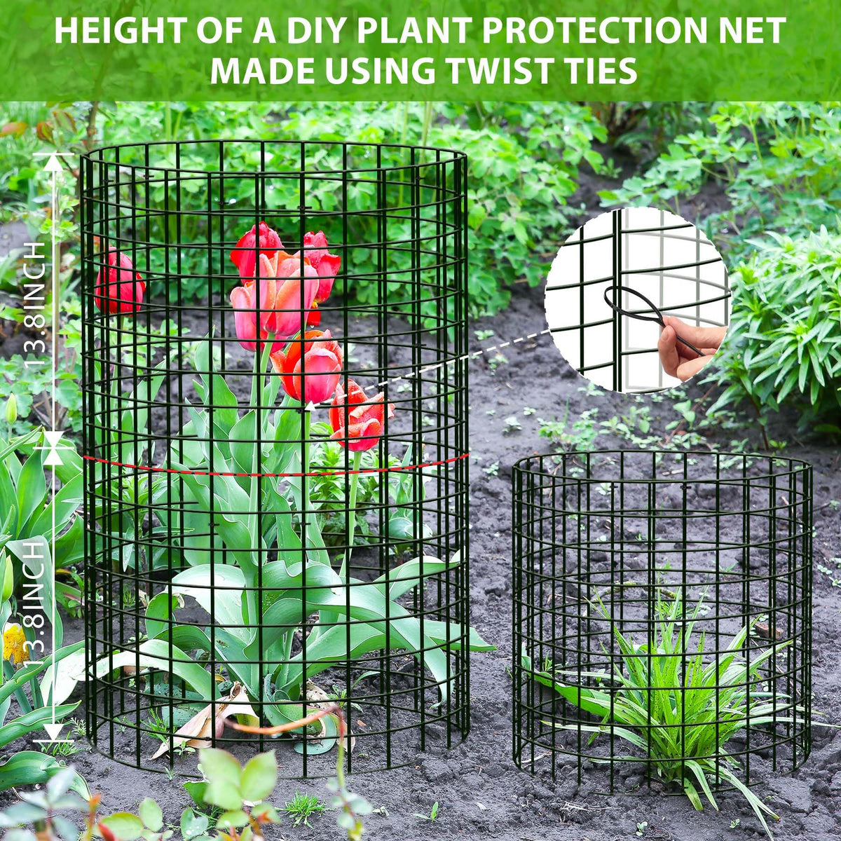 ZOKCC tie bands quickly securing cages with stakes for easy setup.