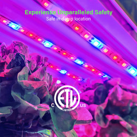 ZONE INDUSTRY CORP damp-location LED strip for humid spaces