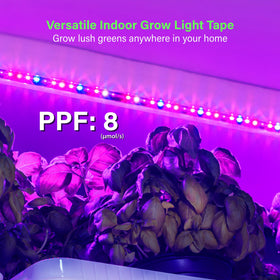 ZONE INDUSTRY CORP energy-efficient 24W LED with long lifespan