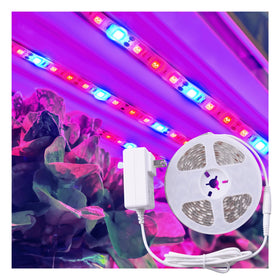 ZONE INDUSTRY CORP full-spectrum LED tape supports seedling growth and herb care