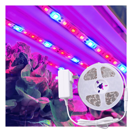 ZONE INDUSTRY CORP full-spectrum LED tape supports seedling growth and herb care